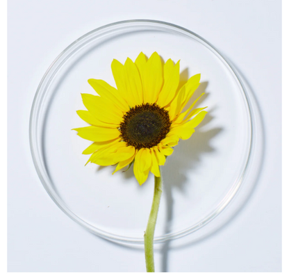 ANDALOU NATURALS Citrus Sunflower Uplifting Shower Gel 50 ML